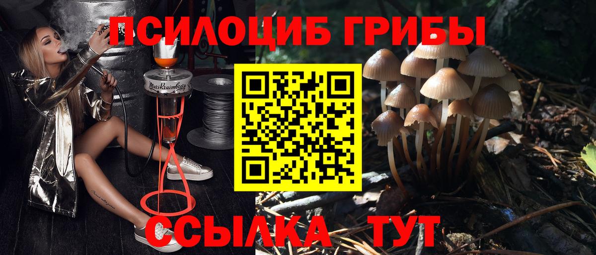 Псилоцибиновые грибы ЛСД Домодедово