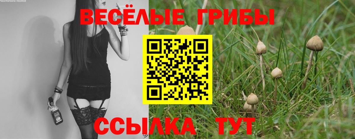 Домодедово  Галлюциногенные грибы Psilocybine cubensis  цены наркотик  Вход с VPN  Псилоцибиновые грибы Psilocybe 